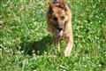 DSC_0048.JPG