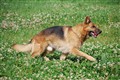 DSC_0055.JPG