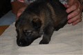 DSC_0061.JPG
