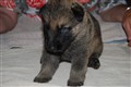 DSC_0076.JPG