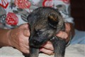 DSC_0110.JPG