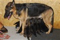DSC_0112.JPG