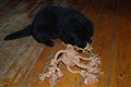 DSC_0124.JPG
