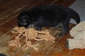 DSC_0128.JPG