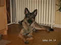 PICT0032.JPG