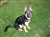 20090929_068.JPG