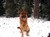 DSCN0673.jpg