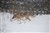 DSC_0018.JPG