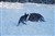 DSC_0270.JPG