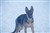 DSC_0306.JPG