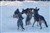 DSC_0311.JPG