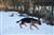 DSC_0357.JPG
